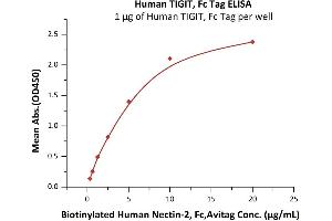 ELISA image for T Cell Immunoreceptor with Ig and ITIM Domains (TIGIT) (AA 22-141) (Active) protein (Fc Tag) (ABIN6951013)