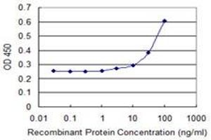 Detection limit for recombinant GST tagged GLI3 is 3 ng/ml as a capture antibody. (GLI3 抗体  (AA 1-110))