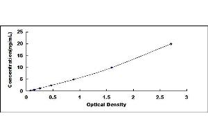 Typical standard curve (BIM ELISA 试剂盒)