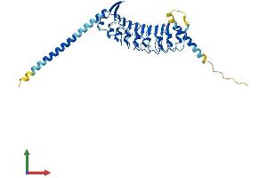 Protein Structure (PS) image for Leucine Rich Repeat Containing 39 (LRRC39) (AA 1-337) protein (His tag) (ABIN7558562)