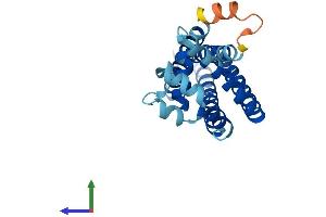 Protein Structure (PS) image for CD81 (CD81) (AA 1-236) protein (His tag) (ABIN7553332)