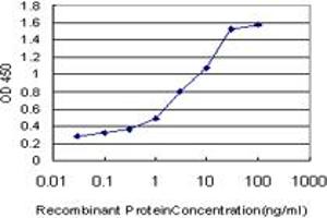 Detection limit for recombinant GST tagged RBAF600 is approximately 0. (UBR4 抗体  (AA 94-190))