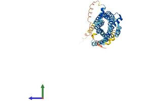 AlphaFold protein structure predicition of Mouse Recombinant Cxcr6 Protein, UniprotID Q9EQ16