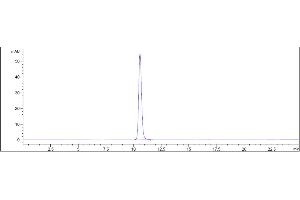 The purity of Anti-IL-6 / IFNb2 Reference Antibody (MEDI 5117) is 100 % , determined by SEC-HPLC. (Recombinant IL-6 抗体)
