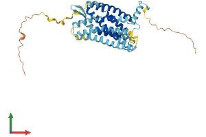 Protein Structure (PS) image for Chemokine (C-X-C Motif) Receptor 2 (CXCR2) (AA 1-360) protein (His tag) (ABIN7546854)