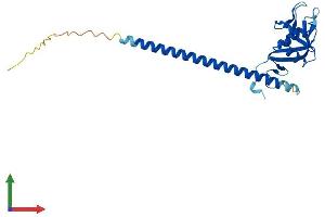 Protein Structure (PS) image for C-Type Lectin Domain Family 1, Member B (CLEC1B) (AA 1-229) protein (His tag) (ABIN7553443)