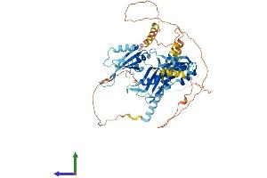 Protein Structure (PS) image for Poly-U Binding Splicing Factor 60KDa (PUF60) (AA 1-564) protein (His tag) (ABIN7563706)