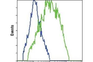 FC analysis of HCC827 cells, untransfected (blue) or transfected with GFP (green), using GFP antibody . (GFP 抗体)