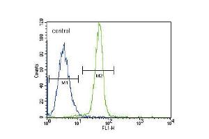 Flow cytometric analysis of K562 cells (right histogram) compared to a negative control cell (left histogram). (Leptin Receptor 抗体  (N-Term))