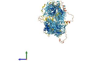 Protein Structure (PS) image for ATP-Binding Cassette, Sub-Family A (ABC1), Member 6 (ABCA6) (AA 1-1617) protein (His tag) (ABIN7551791)