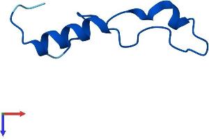 AlphaFold protein structure predicition of Human Recombinant RPL39P5 Protein, UniprotID Q59GN2