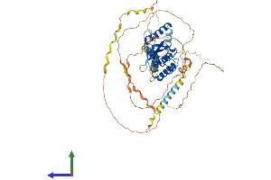 Protein Structure (PS) image for OTU Domain Containing 5 (OTUD5) (AA 1-571) protein (His tag) (ABIN7550266)