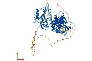 AlphaFold protein structure predicition of Mouse Recombinant Txk Protein, UniprotID P42682 (TXK Protein (AA 1-527) (His tag))