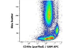 Flow cytometry surface staining pattern of human peripheral whole blood stained using anti-human CD49e (SAM1) purified antibody (concentration in sample 1,7 μg/mL, GAM APC). (ITGA5 抗体)