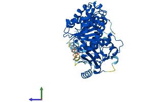 Protein Structure (PS) image for Tubulin, alpha 1a (Tuba1a) (AA 1-451) protein (His tag) (ABIN7556658)