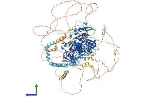 AlphaFold protein structure predicition of Human Recombinant SETDB1 Protein, UniprotID Q15047