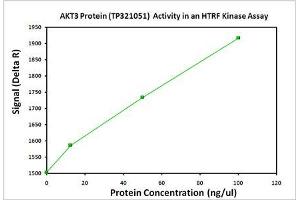 Bioactivity measured with Activity Assay (AKT3 Protein (Transcript Variant 1) (Myc-DYKDDDDK Tag))