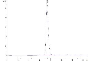 Size-exclusion chromatography-High Pressure Liquid Chromatography (SEC-HPLC) image for Interleukin 7 Receptor (IL7R) (AA 21-236) protein (His tag) (ABIN7274964)