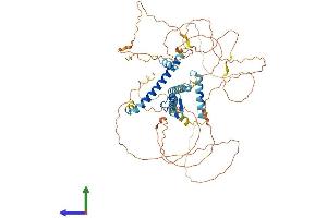 Protein Structure (PS) image for GATA Zinc Finger Domain Containing 2A (GATAD2A) (AA 1-629) protein (His tag) (ABIN7559351)