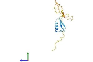 Protein Structure (PS) image for Ripply2 Homolog (RIPPLY2) (AA 1-128) protein (His tag) (ABIN7557013)
