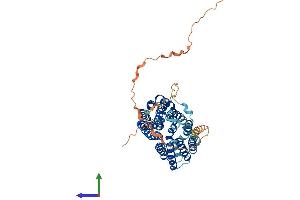 AlphaFold protein structure predicition of Mouse Recombinant Slc16a8 Protein, UniprotID O35308 (MCT3 Protein (AA 1-492) (His tag))