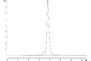 Size-exclusion chromatography-High Pressure Liquid Chromatography (SEC-HPLC) image for Tumor Necrosis Factor (Ligand) Superfamily, Member 18 (TNFSF18) (AA 50-177), (Trimer) protein (His-DYKDDDDK Tag,Biotin) (ABIN7274682)