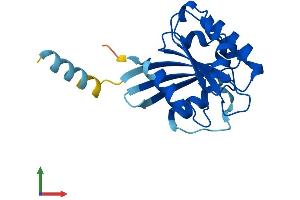Protein Structure (PS) image for ADP-Ribosylation Factor-Like 8A (ARL8A) (AA 1-186) protein (His tag) (ABIN7552322)