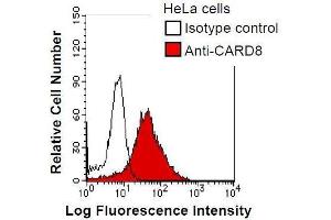 HeLa cells were fixed in 2% paraformaldehyde/PBS and then permeabilized in 90% methanol. (CARD8 抗体)