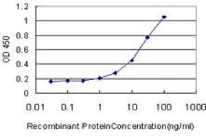 Detection limit for recombinant GST tagged MKNK2 is approximately 1ng/ml as a capture antibody. (MKNK2 抗体  (AA 1-158))