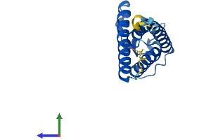 Protein Structure (PS) image for SYS1 Golgi-Localized Integral Membrane Protein Homolog (SYS1) (AA 1-156) protein (His tag) (ABIN7544060)