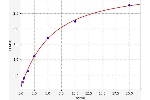 CCR5 ELISA 试剂盒