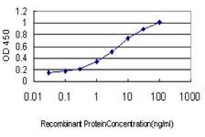 Detection limit for recombinant GST tagged ABCC6 is approximately 0. (ABCC6 抗体  (AA 831-930))