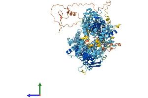 Protein Structure (PS) image for ATP-Binding Cassette, Sub-Family C (CFTR/MRP), Member 11 (ABCC11) (AA 1-1382) protein (His tag) (ABIN7551796)