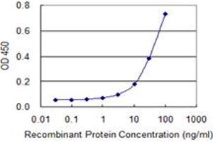 Detection limit for recombinant GST tagged ZYX is 1 ng/ml as a capture antibody. (ZYX 抗体  (AA 1-572))