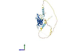 AlphaFold protein structure predicition of Human Recombinant EAF1 Protein, UniprotID Q96JC9 (EAF1 Protein (AA 1-268) (His tag))