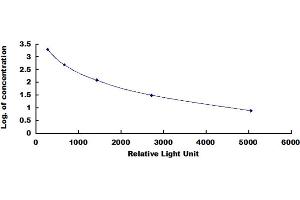 ELISA image for Endorphin beta (beta-EP) CLIA Kit (ABIN4947392)