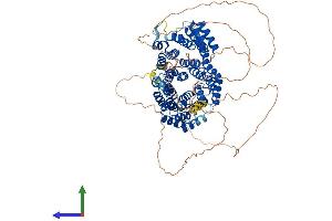 Protein Structure (PS) image for Cell Division Cycle 27 Homolog (S. Cerevisiae) (CDC27) (AA 1-825) protein (His tag) (ABIN7561871)