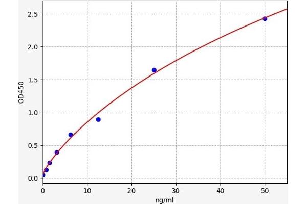 SEMG2 ELISA 试剂盒