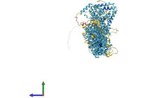 Protein Structure (PS) image for Fanconi Anemia Group A Protein (FANCA) (AA 1-1455) protein (His tag) (ABIN7553881)