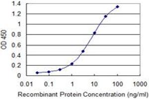 Detection limit for recombinant GST tagged YARS is 0. (YARS 抗体  (AA 1-528))