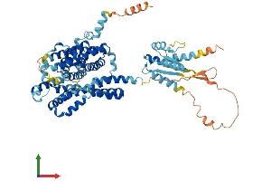 Protein Structure (PS) image for Solute Carrier Family 26 (Sulfate Transporter), Member 7 (SLC26A7) (AA 1-656) protein (His tag) (ABIN7555299)