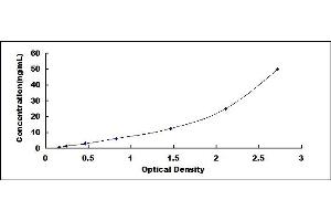 Typical standard curve (A2ML1 ELISA 试剂盒)