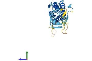 AlphaFold protein structure predicition of Human Recombinant LHFPL2 Protein, UniprotID Q6ZUX7