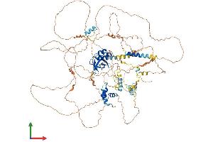 Protein Structure (PS) image for MIS18 Binding Protein 1 (MIS18BP1) (AA 1-998) protein (His tag) (ABIN7564283)