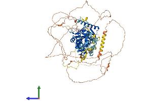 Protein Structure (PS) image for KAT8 Regulatory NSL Complex Subunit 3 (KANSL3) (AA 1-903) protein (His tag) (ABIN7561978)