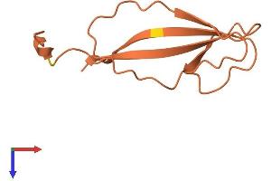 AlphaFold protein structure predicition of Human Recombinant DSCR10 Protein, UniprotID P59022