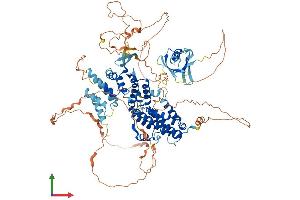 Protein Structure (PS) image for Ral Guanine Nucleotide Dissociation Stimulator (RALGDS) (AA 1-914) protein (His tag) (ABIN7554041)