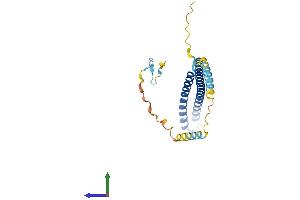 AlphaFold protein structure predicition of Mouse Recombinant Chmp5 Protein, UniprotID Q9D7S9