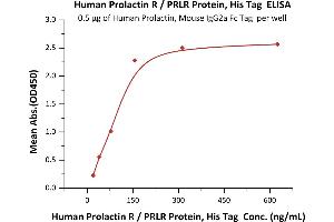 Immobilized Human Prolactin, Mouse IgG2a Fc Tag, low endotoxin (ABIN6253198,ABIN6253591) at 5 μg/mL (100 μL/well) can bind Human Prolactin R, His Tag (ABIN5674643,ABIN6253657) with a linear range of 20-156 ng/mL (QC tested). (Prolactin Receptor Protein (PRLR) (AA 25-234) (His tag))