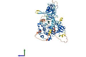 Protein Structure (PS) image for Protein Kinase C, theta (PRKCQ) (AA 1-707) protein (His tag) (ABIN7563579)